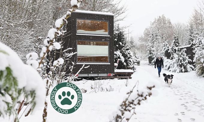 Osterode am Harz House | Sustainable vacation with a dog at the Green Tiny House Nature 2 in Osterode am Harz