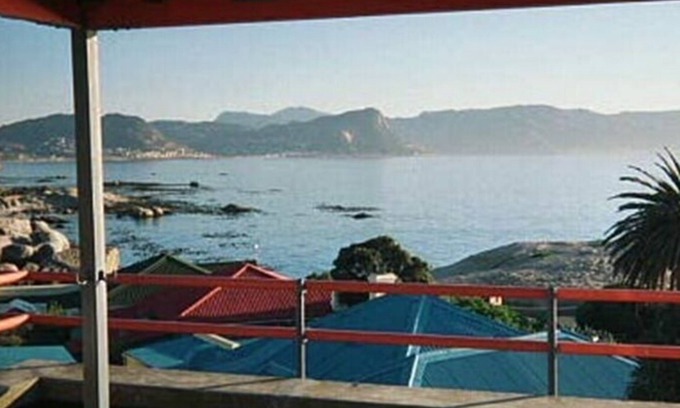 Simon's Town House | Swim with the Penguins!