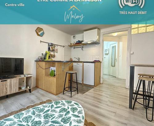 Millau Apartment | T2 lumineux hypercentre