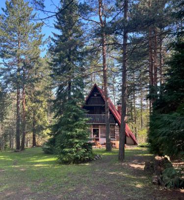 Kremna Villa | Tarushka house