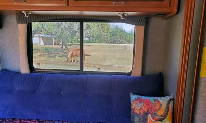 Lecanto House | Taste of Tiny Living in Pet Friendly Paradise