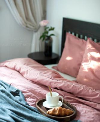 Teika Apartment | Teika No 2 Apartment-Retro on Brivibas street-free Parking