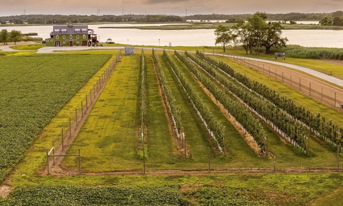 Hancocks Bridge RV Rental | Tentrr Signature Site - Thousand Acre Farm Waterfront Farm