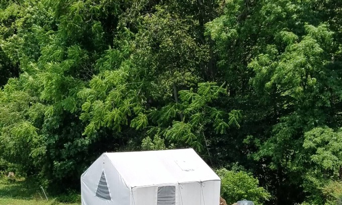 Earlville RV Rental | Tentrr Signature Site - Creekside Woods Getaway