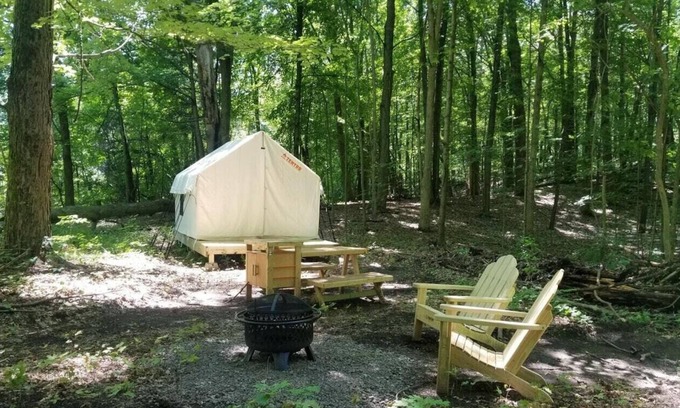 Talisheek RV Rental | Tentrr State Park Site - Louisiana Bogue Chitto State Park - Riverview F - Singl
