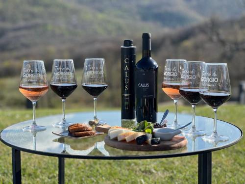 Castiglione d'Orcia House | Terre di GIORGIO Agriturismo Villa la Palazzetta