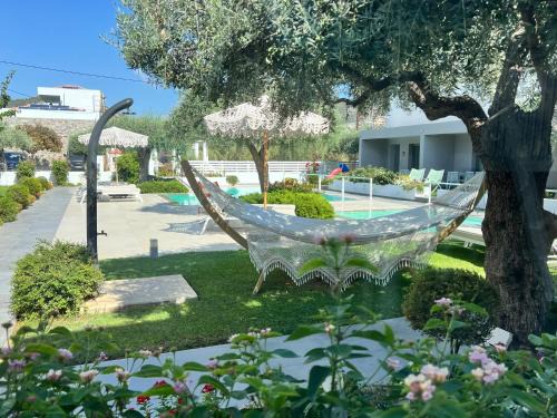 Potos House | Thassos OLIVIA RESORT