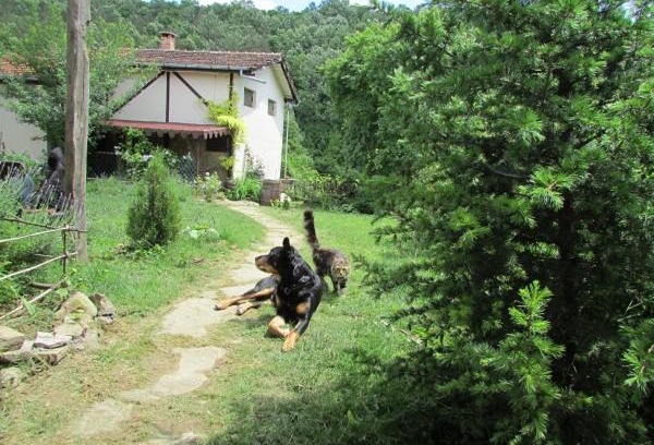 Dryanovo House | The Barn