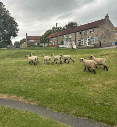 Hutton le Hole House | The Barn Guest House and Tearoom
