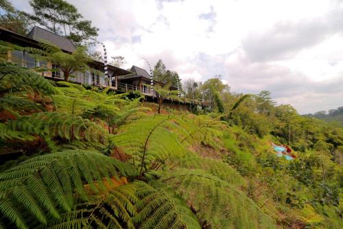 Pelaga Hotel | The Bejalin Eco Retreat