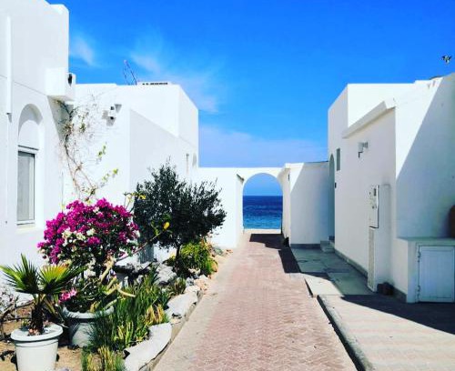 Al-Bustan House | The Blue Gate 2