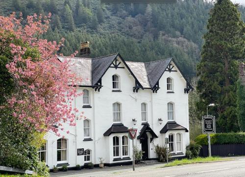 Dinas Mawddwy Hotel | The Buckley Arms