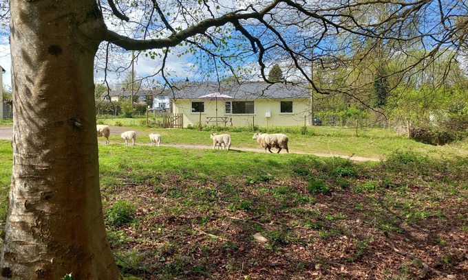 Ruardean House | The Bungalow, Forest of Dean