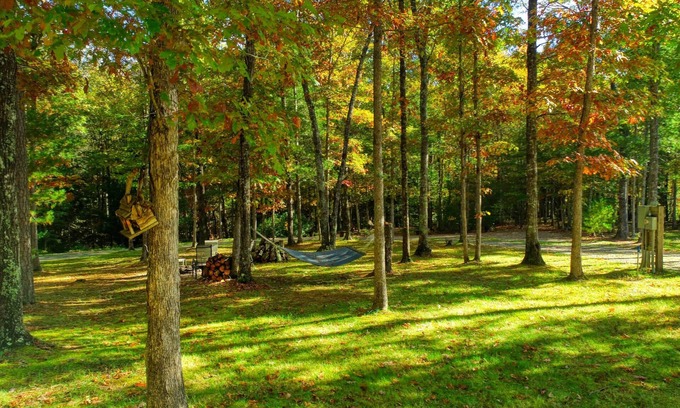 Jamestown Cabin | The Cabin at Crockett Creek