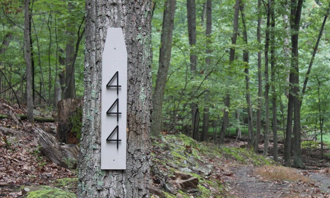 The Woods Cabin | The Cabin on the Run