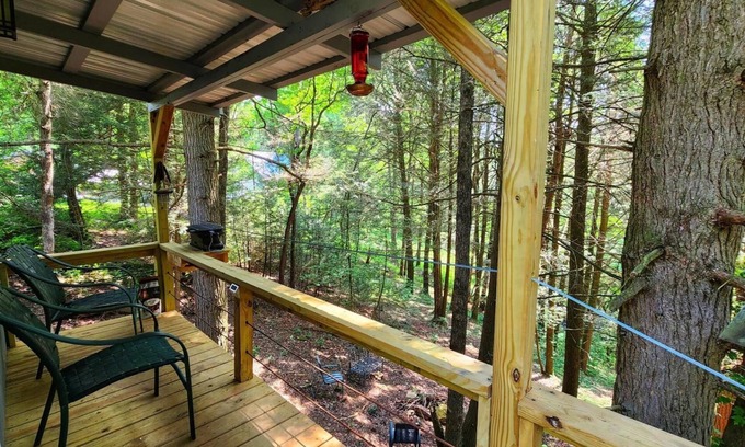 Coalmont House | The Cabins at Ranger Creek 2