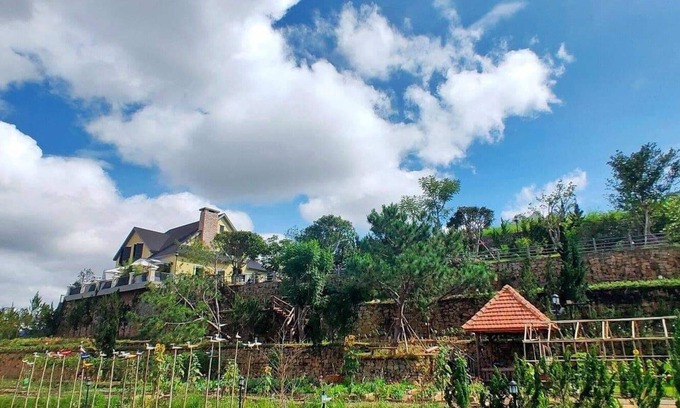 Da Lat Villa | The Cleomy - Organic Living & Coffee