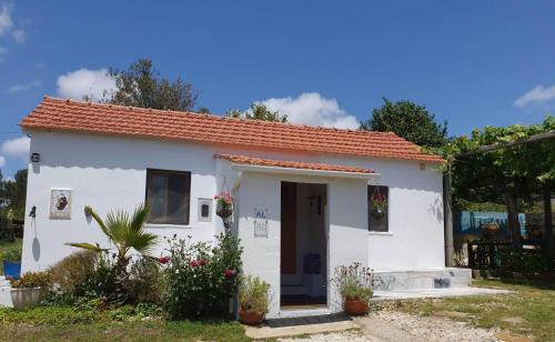 Pedrogao Grande Ski Chalet | The Cottage near the lake