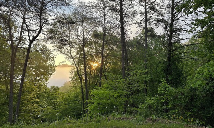 Stanton Cabin | The DEN Shipping Container Cabin-HotTub!-High Speed WiFi!-Great View! BOOK IT!