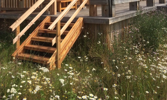 Moricetown Cabin | The Dutch Treat - L.D.R.