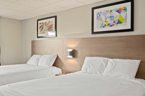 Waterville Hotel | The Elmwood