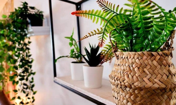 Saint-Sauveur Apartment | The Enchanted Forest - Loft - Fireplace - Downtown