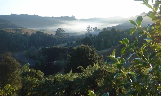 Puhoi Other | The Essential Garden Studio