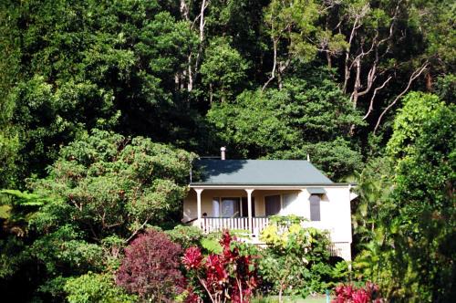 Montville Cabin | The Falls Montville