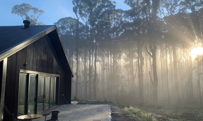 Newbury House | The Forest House: A Tranquil House Among the Trees
