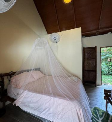 El Gigante Hotel | The Grand Mango