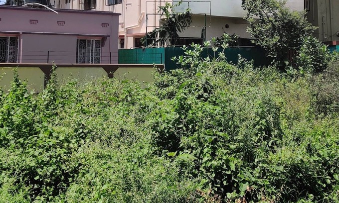 Siliguri House | THE GREAT DOUBLE BED ROOM V