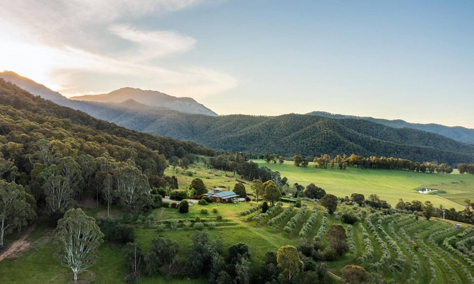 Porepunkah House | The Grove Estate - The pièce de resistance of this property is the view, be it the 360-degree views of the surrounding bush side, valley and the Region’s famous Mt Buffalo or perhaps the view of the spectacular and famous artwork showcased through th