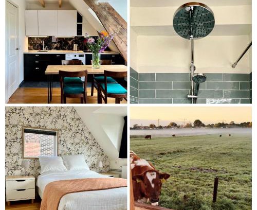 Amsterdam North Apartment | The Grutto, private apartment 25 min from city center