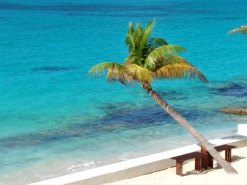 Simpson Bay Apartment | The Horny Toad Guest House