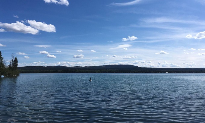 Celista House | The Islander Cottage on the sunny Shuswap