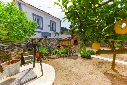 Samos House | The Kalivi