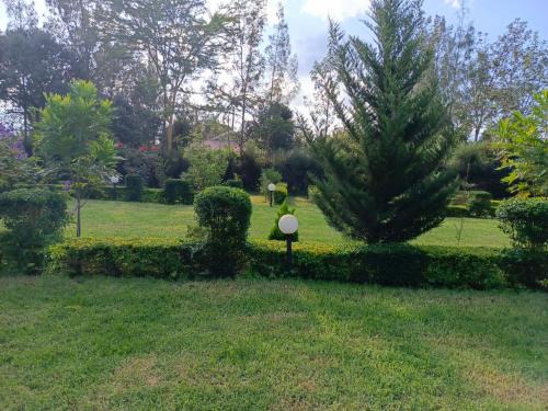 Nanyuki House | The Kioka gardens 4 bedroom home