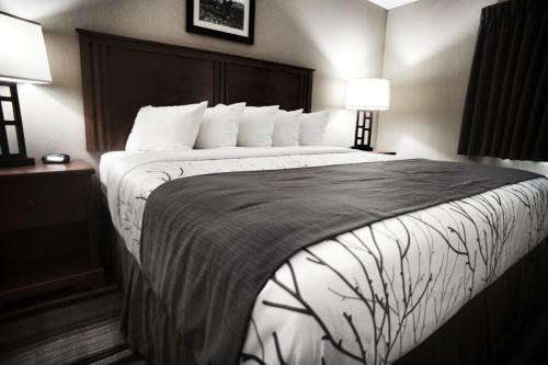 Moorcroft Hotel | The Lodge At Moorcroft