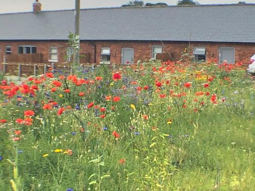 Cottingham Apartment | The Milking Parlour, Wolds Way Holiday Cottages, 1 bed cottage
