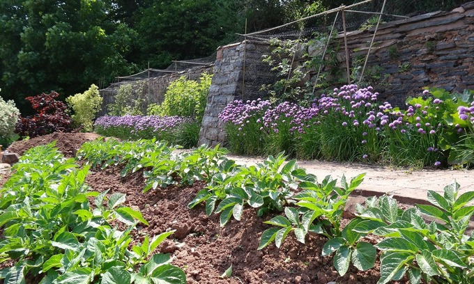 Cornwall Bed & Breakfast | The Old Dairy at Bishops Barton