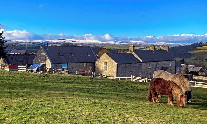 Old Bewick Cottage | The Old Mill - 28218