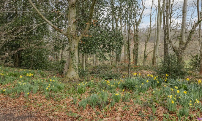 Llanvair Kilgeddin Cottage | The Old Stables