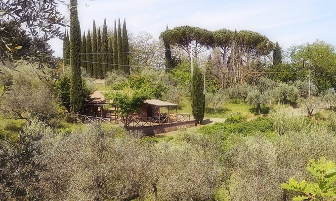 Montescudaio Apartment | The Olive 4+2