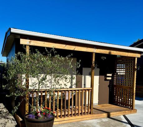 Whakatane Apartment | The Olive Tree Shed