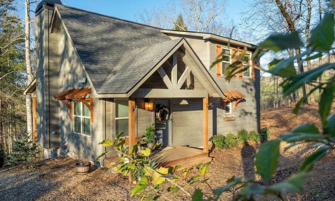 Suches Cabin | The Painted Peak - Free Breakfast Fast WiFI New Build