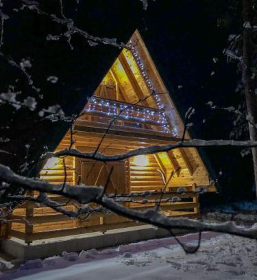 Zabljak House | The Pine Forest Cottage