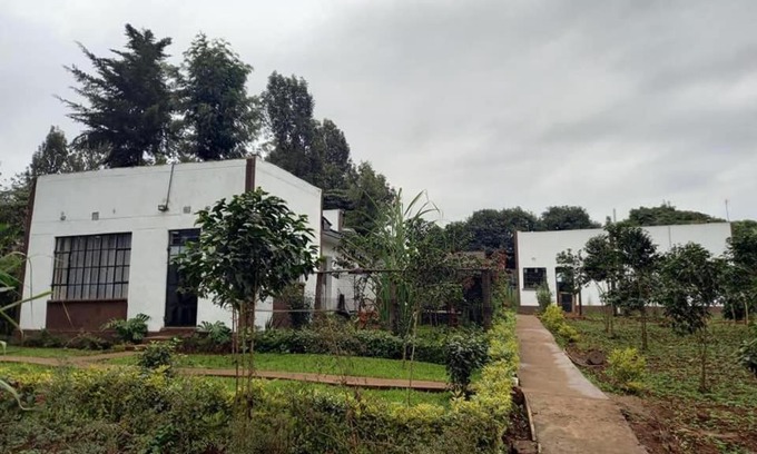 Kerugoya Bed & Breakfast | THE PLANTAINS PLACE
