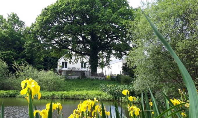 Ploerdut House | The pond house