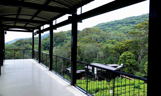 Kotapola Cabin | The Rainforest Ecolodge