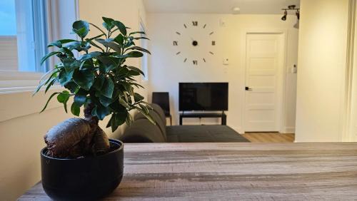 Rawdon Apartment | The Rawdon Queen